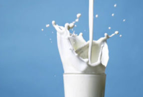 Cup of milk