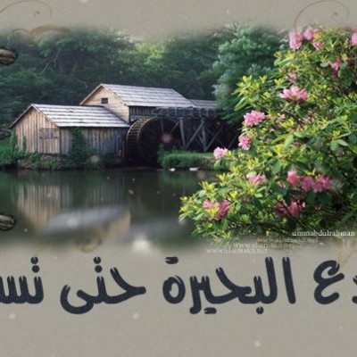 Read more about the article قصة الفتاة والبحيرة