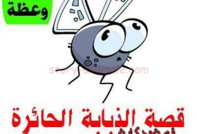 حشرة